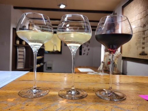 Venez d&eacute;guster nos vins au domaine Colmar 0